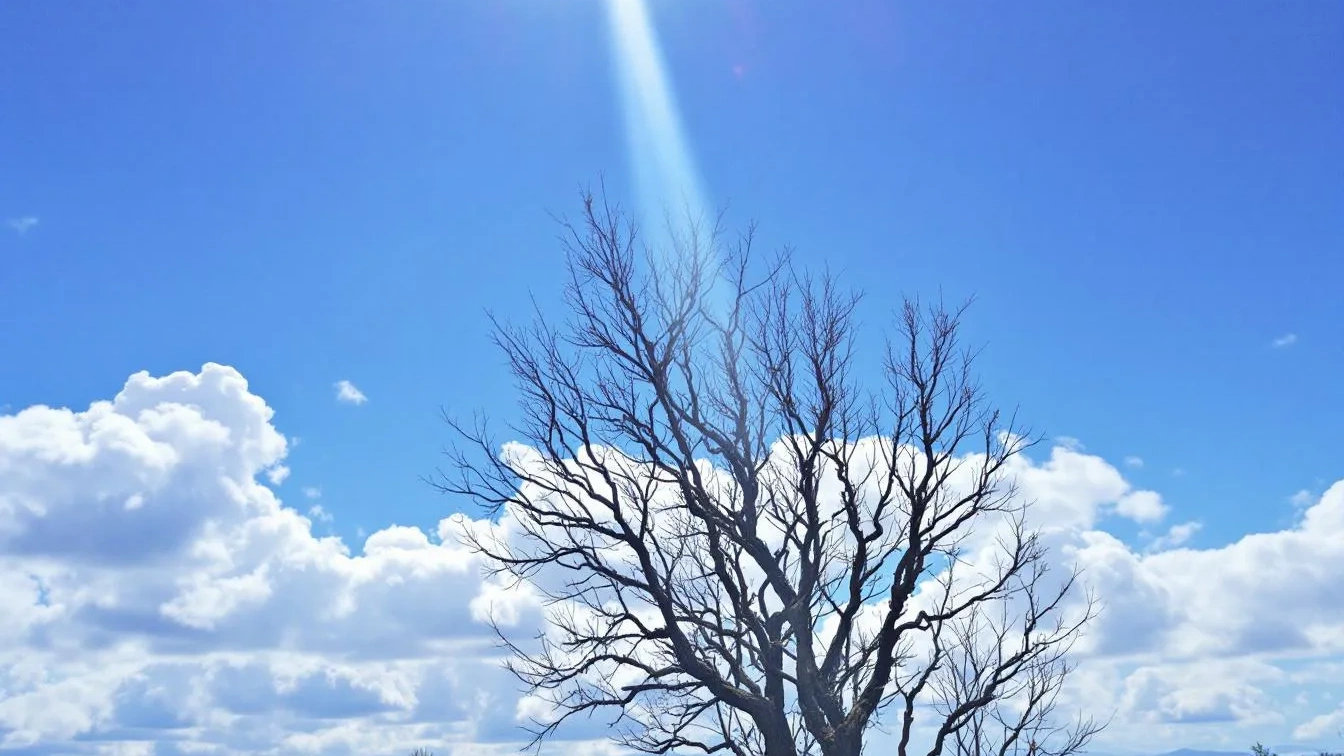 Kadeřníci odhalují, kdy a jak často používat suchý šampon pro nejlepší výsledky